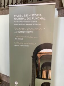 Mehr über den Artikel erfahren Ein Museum nur für mich