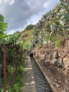 Mehr über den Artikel erfahren Meine erste Levada Wanderung