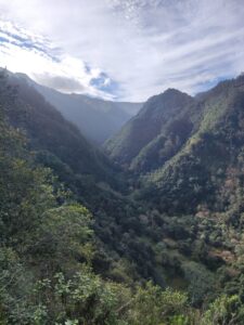 Mehr über den Artikel erfahren Mein 3. Community Hike