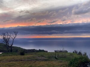 Mehr über den Artikel erfahren Von Pancakes und dem Gärtnern