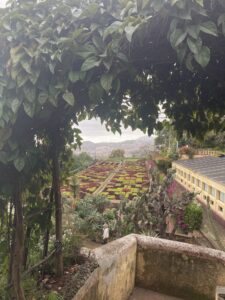 Mehr über den Artikel erfahren Der Botanische Garten Funchals