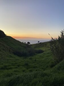Mehr über den Artikel erfahren Gartenarbeit mit Meerblick