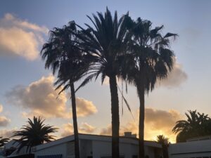 Mehr über den Artikel erfahren Meine erste Woche im Surfcamp
